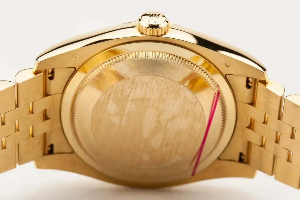 54744420075_731d10acee_b.webp 54744420075_731d10acee_b.webp