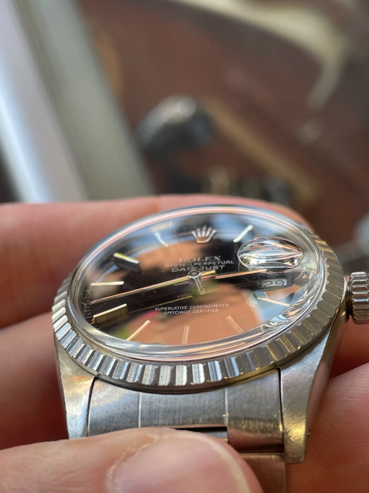 IMG_3448.webp IMG_3448.webp