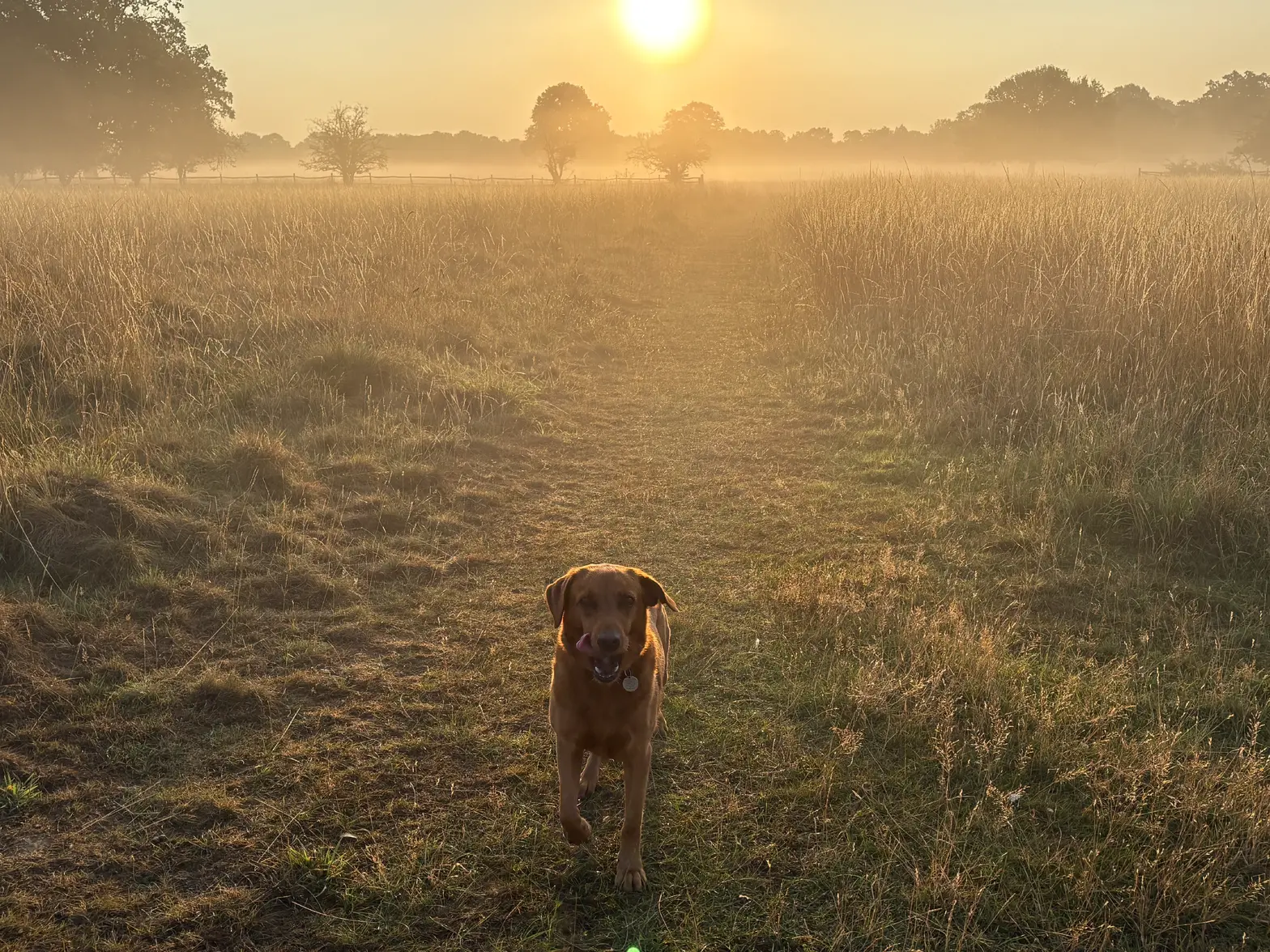 a level day 14th Aug 2025.webp