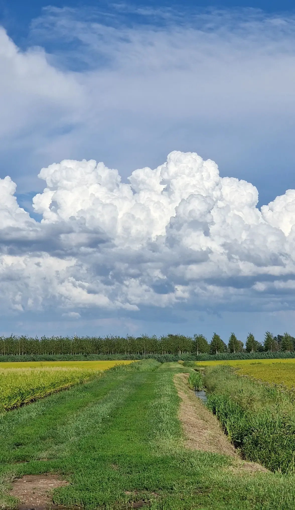 2025_08_29 (10).webp