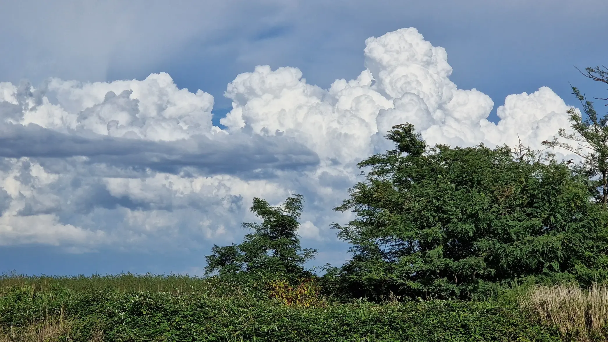 2025_08_29 (11).webp