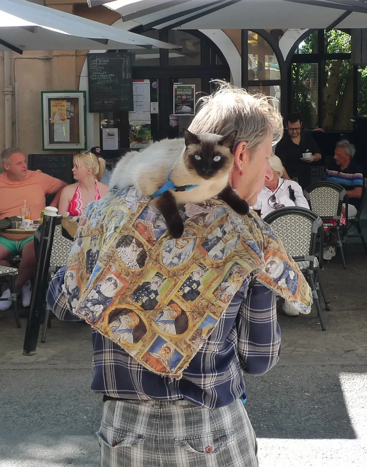 L1230991 lorgues katze.webp