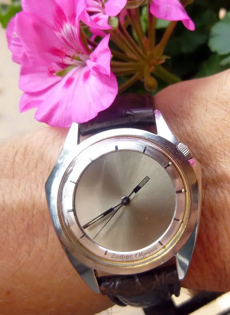 zodiac olympos (8).webp