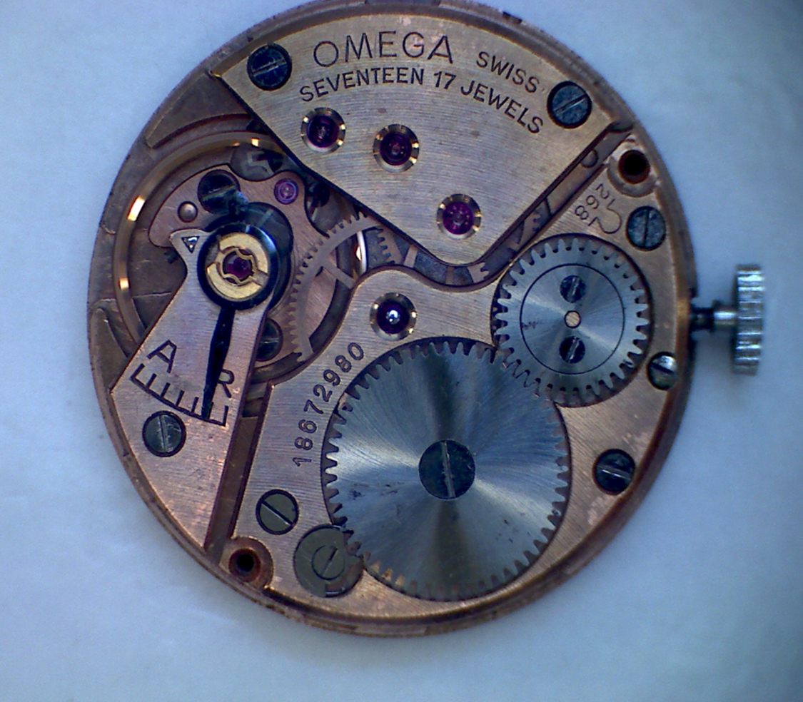 IMG_5987.webp IMG_5987.webp