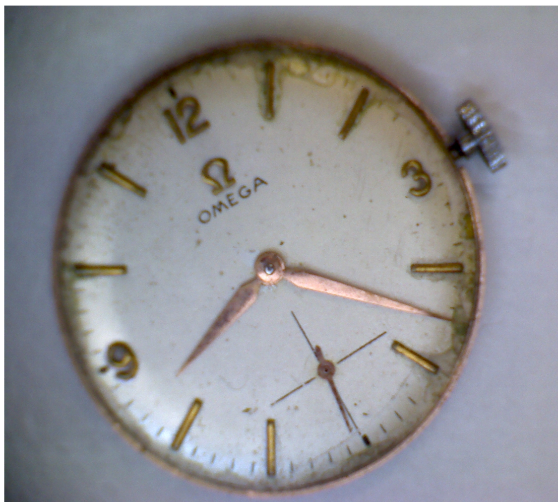 IMG_5986.webp IMG_5986.webp