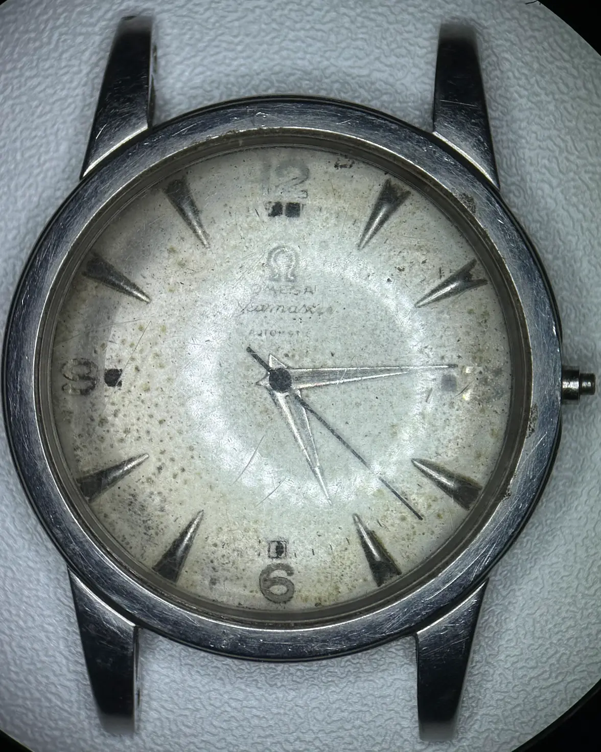 IMG_6647.webp IMG_6647.webp