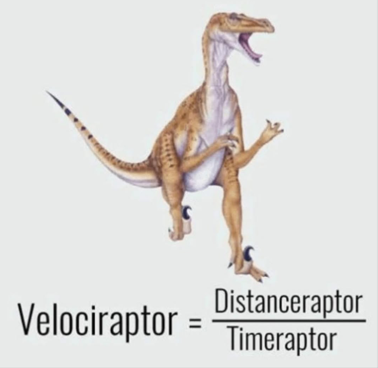 IMG_0659.webp IMG_0659.webp