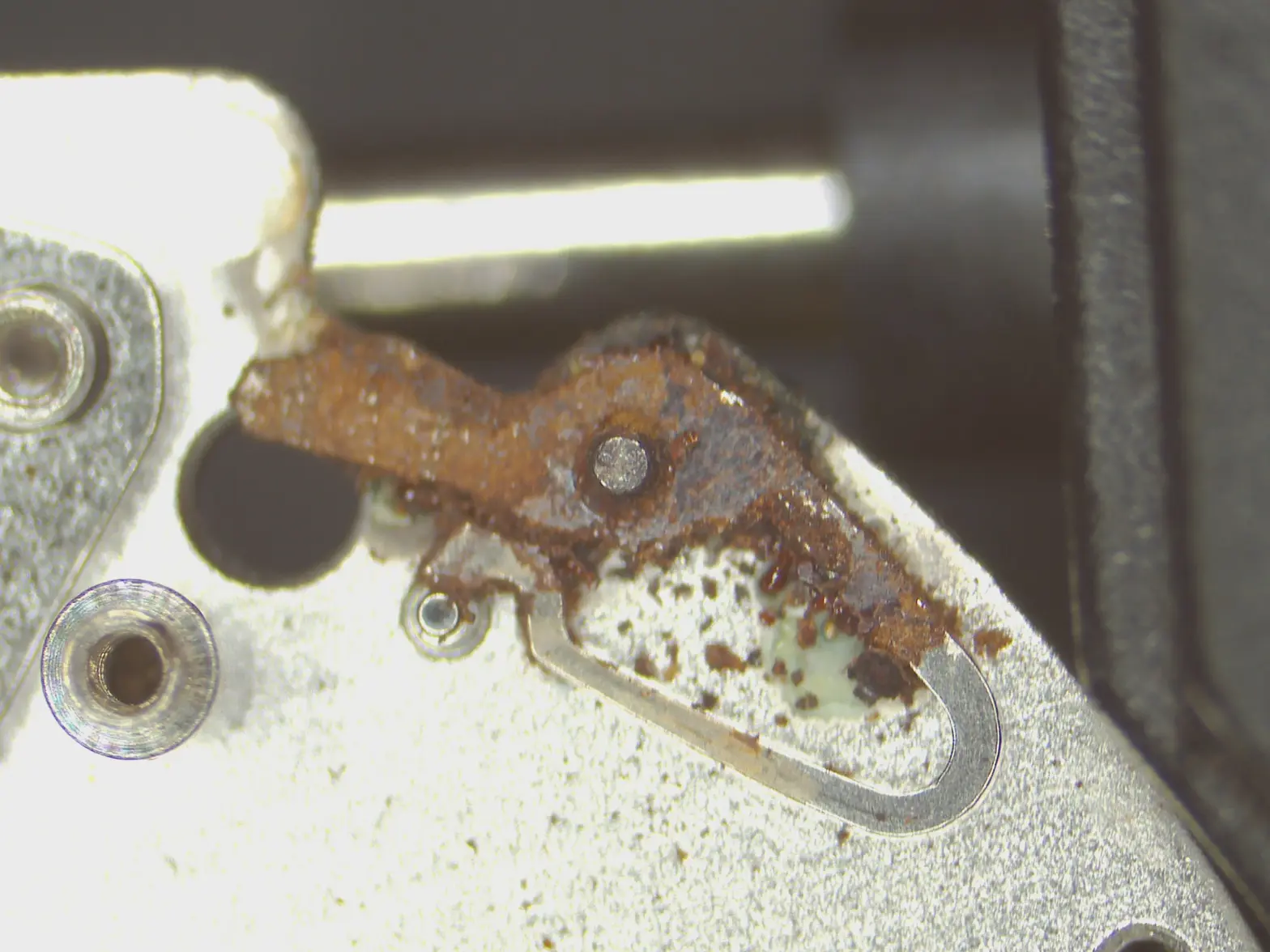 WIN_20250831_14_38_03_Pro.webp WIN_20250831_14_38_03_Pro.webp