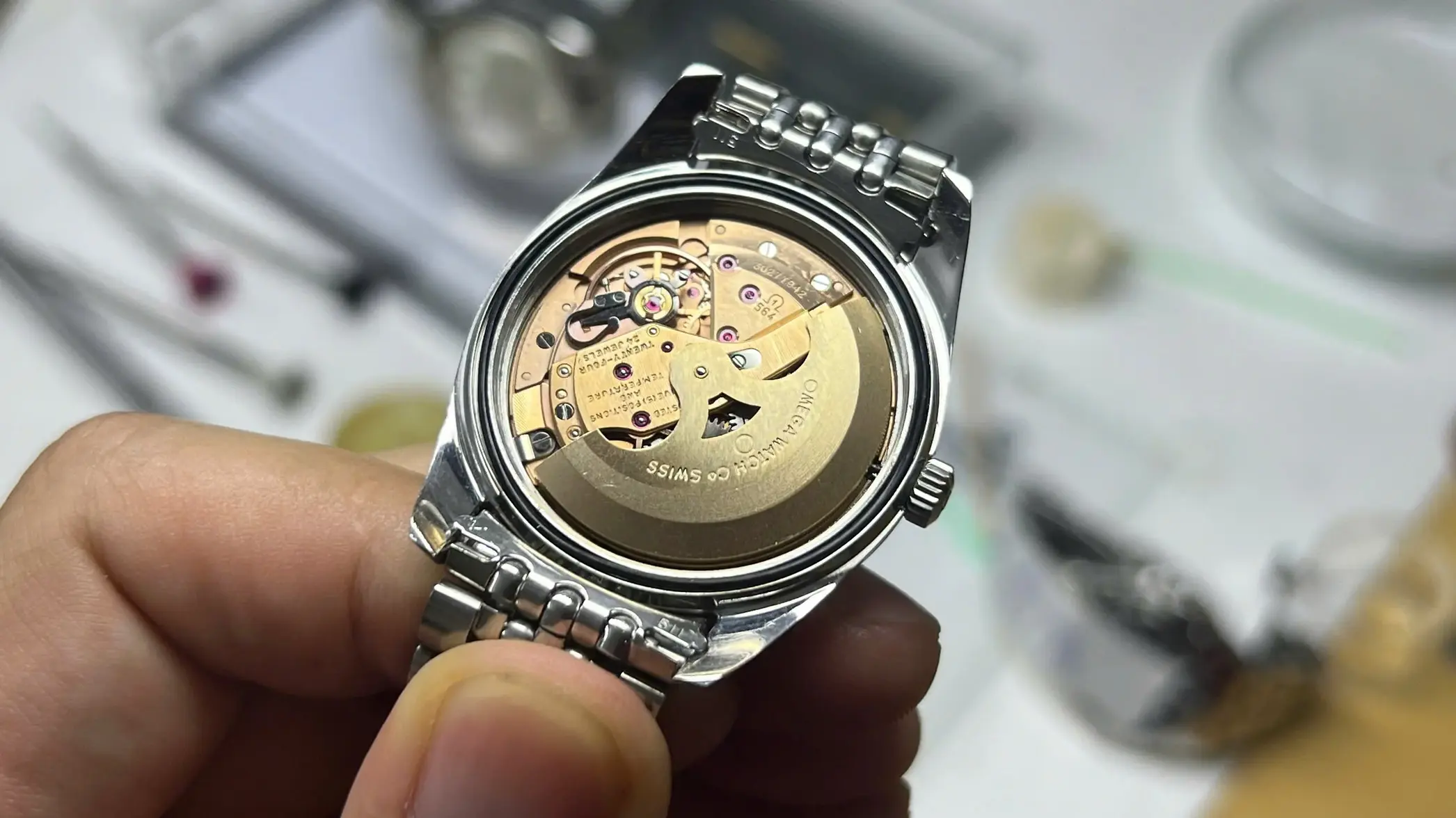 z6973575806445_201209b137d412e2f4cc2cc2a94758dd.webp z6973575806445_201209b137d412e2f4cc2cc2a94758dd.webp