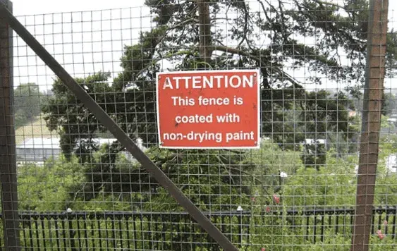 IMG_3976.webp IMG_3976.webp