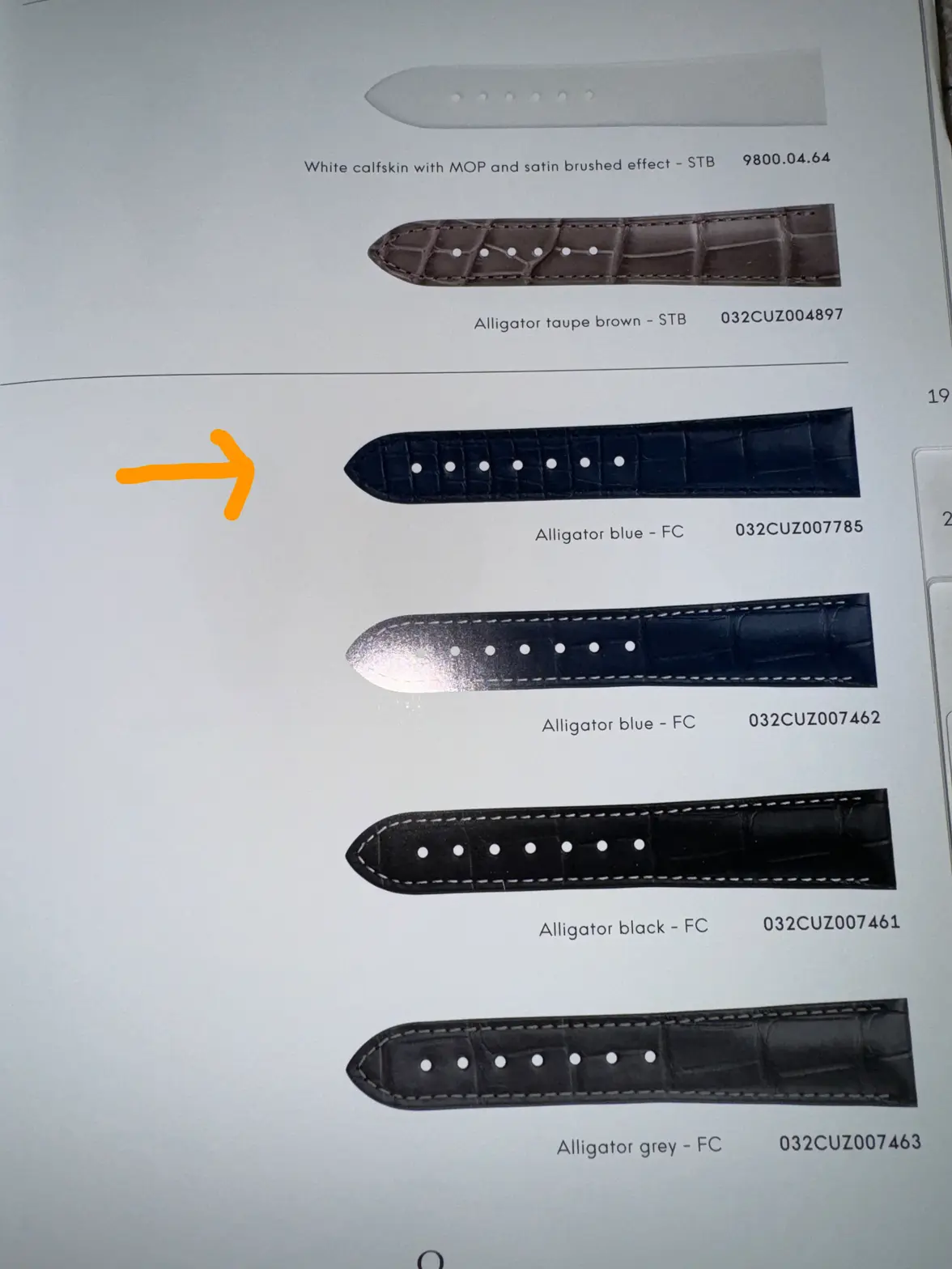 IMG_6241.webp IMG_6241.webp