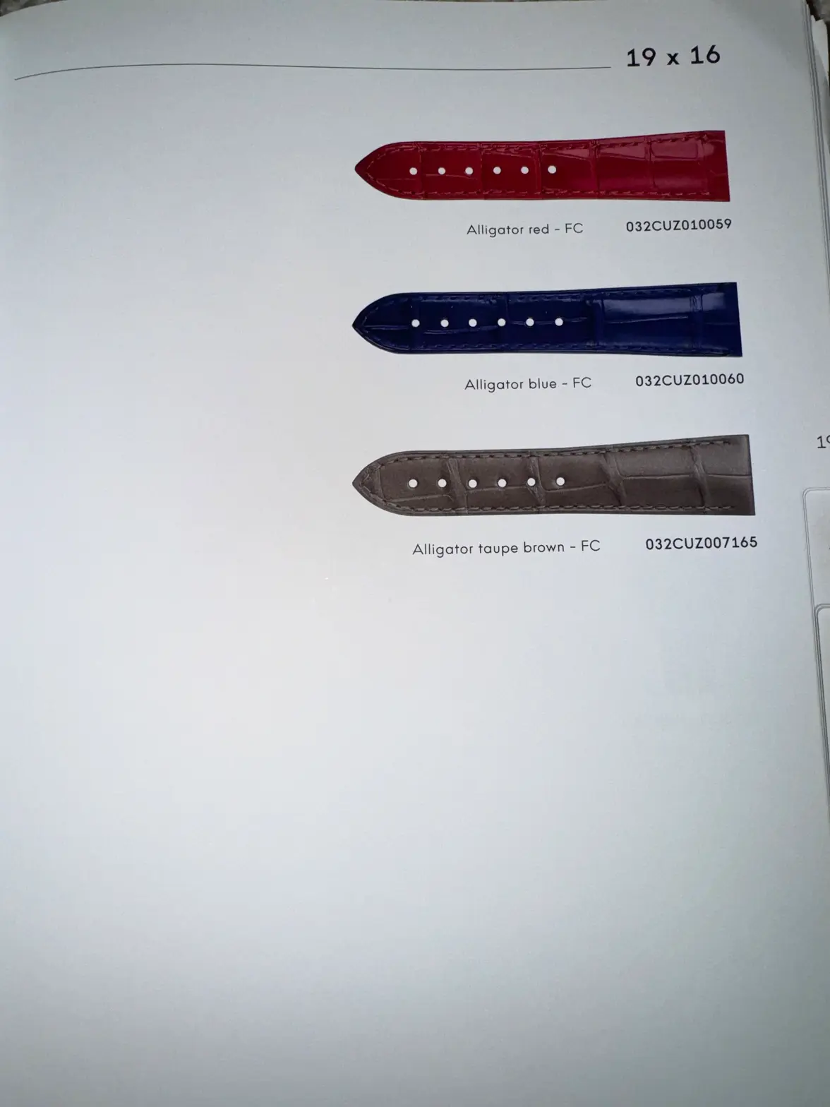 IMG_6242.webp IMG_6242.webp