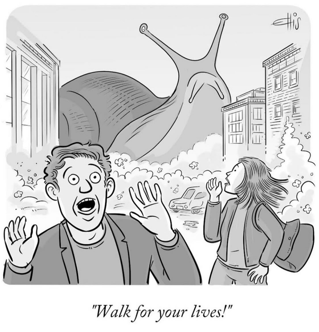 IMG_0663.webp IMG_0663.webp