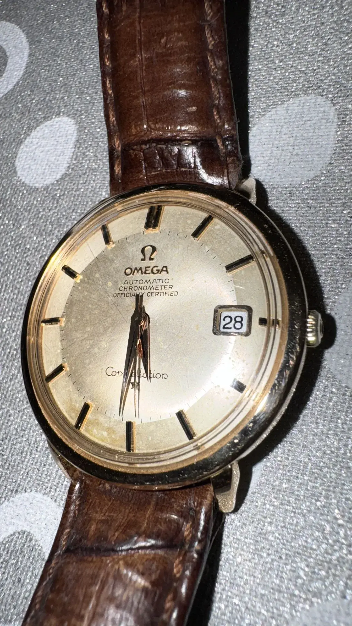 WhatsApp Image 2025-08-28 at 17.30.12.webp