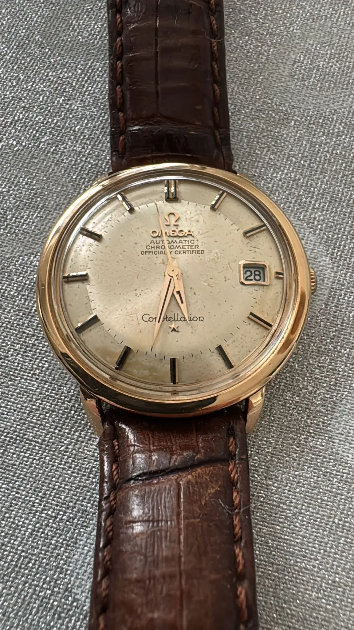 WhatsApp Image 2025-08-28 at 17.31.35.webp