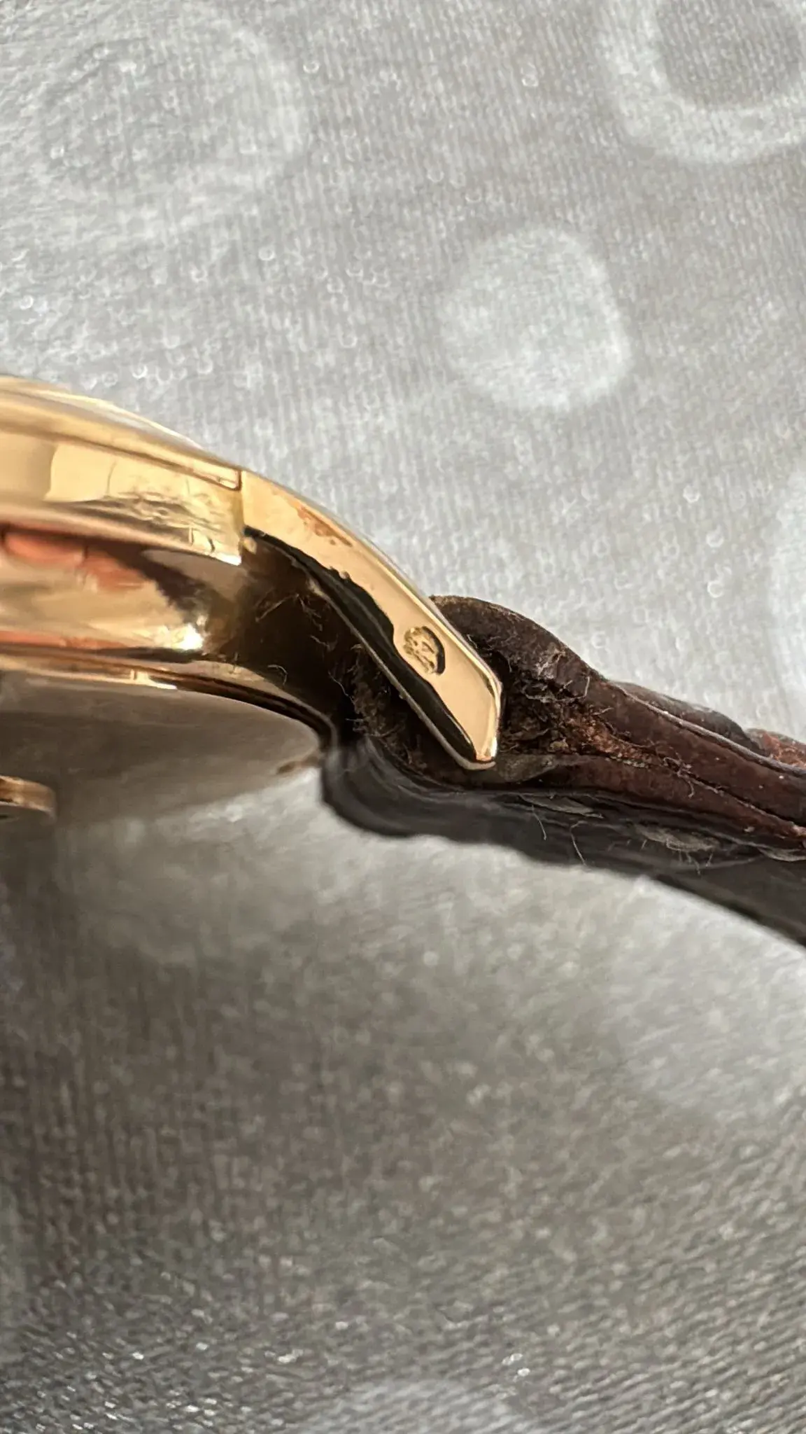 WhatsApp Image 2025-08-28 at 17.33.18.webp