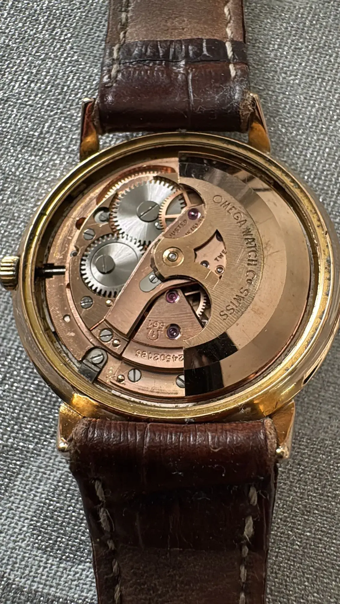 WhatsApp Image 2025-08-28 at 18.15.27.webp