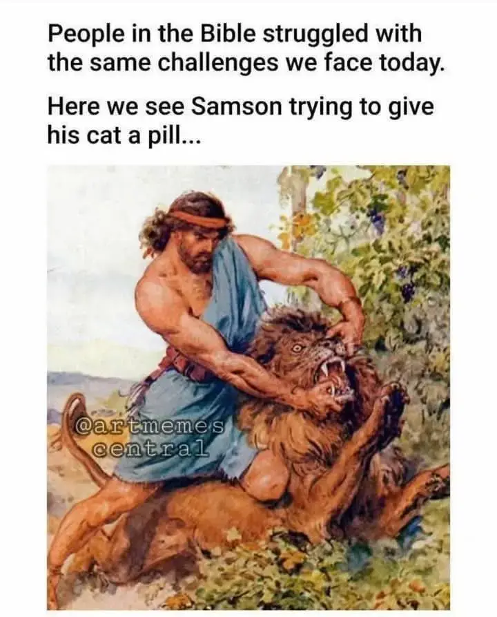 FB_IMG_1756987421056.webp FB_IMG_1756987421056.webp