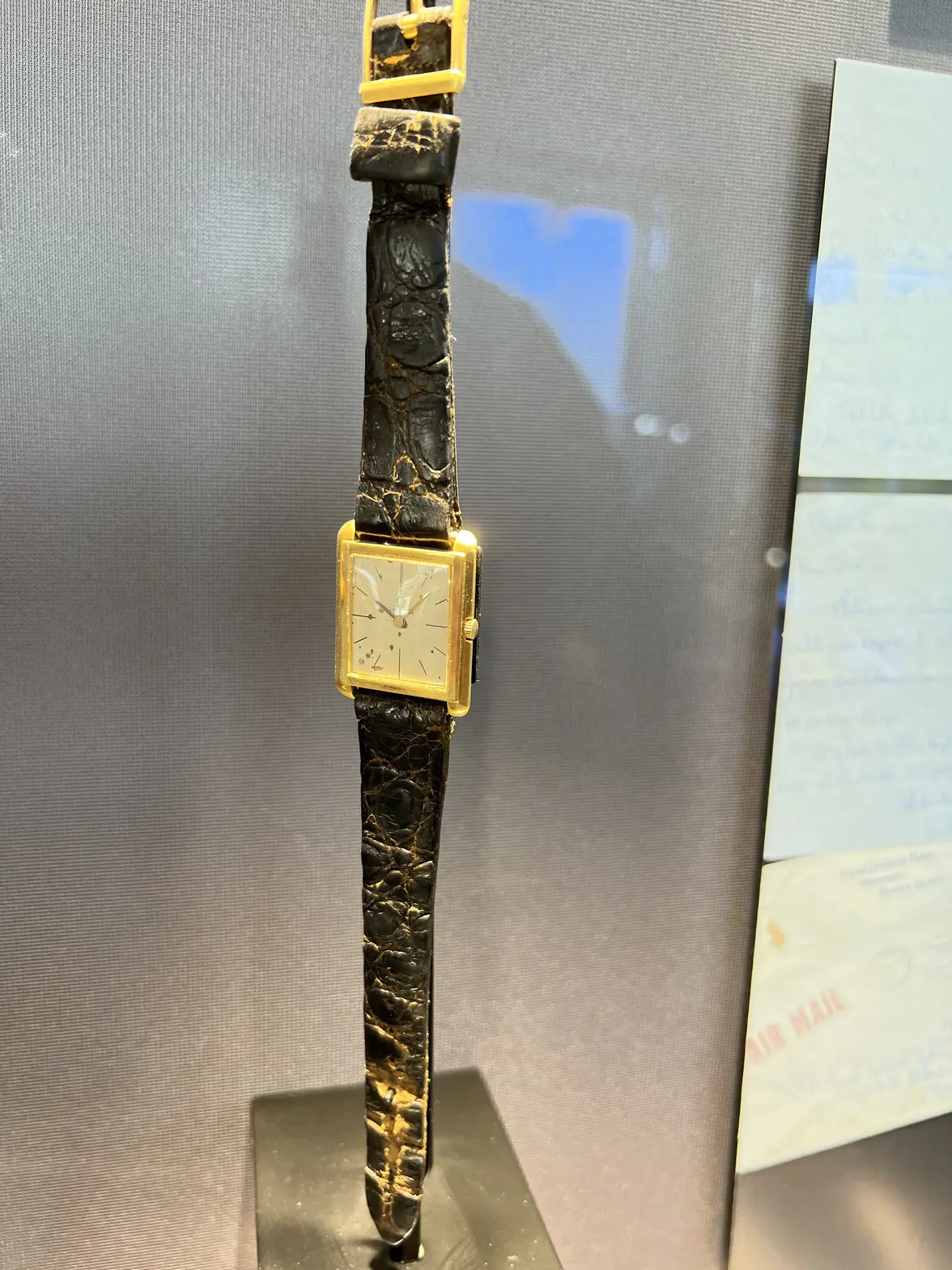 IMG_1834.webp IMG_1834.webp