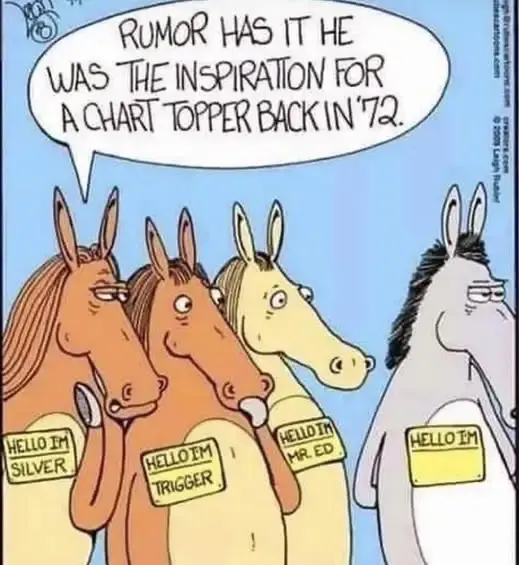 Horse with no name.webp