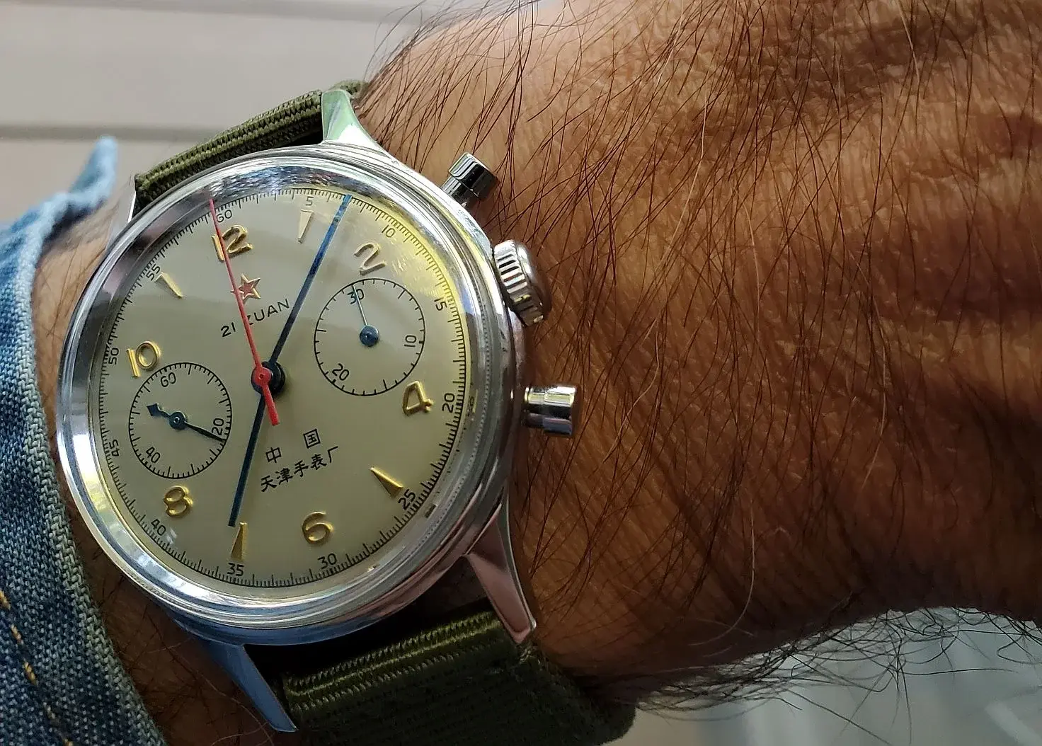 Seagull ws 1 20250907_070719.webp