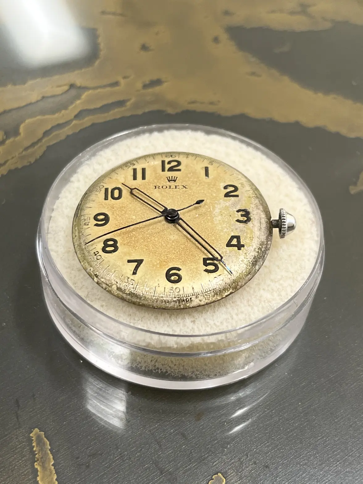 IMG_9517.webp IMG_9517.webp