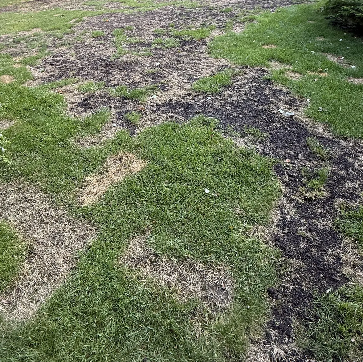 IMG_2168.webp IMG_2168.webp