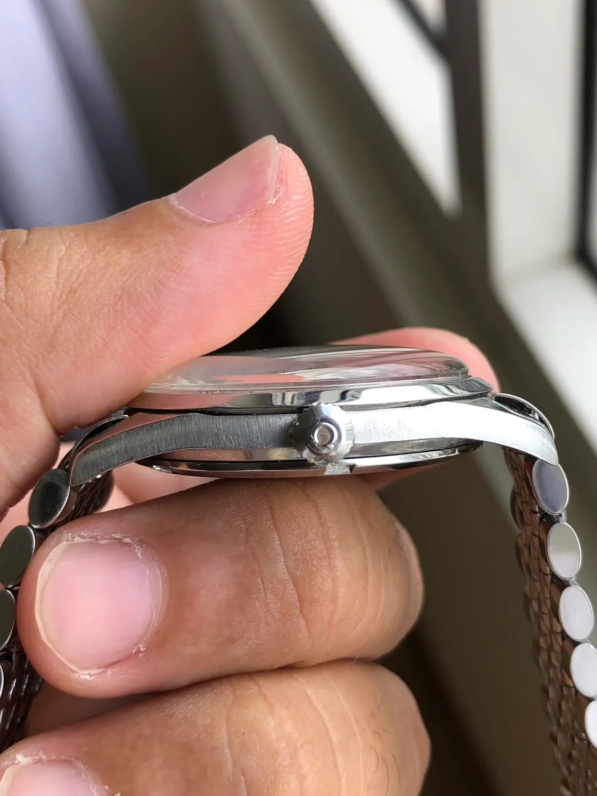 IMG_0663.webp IMG_0663.webp