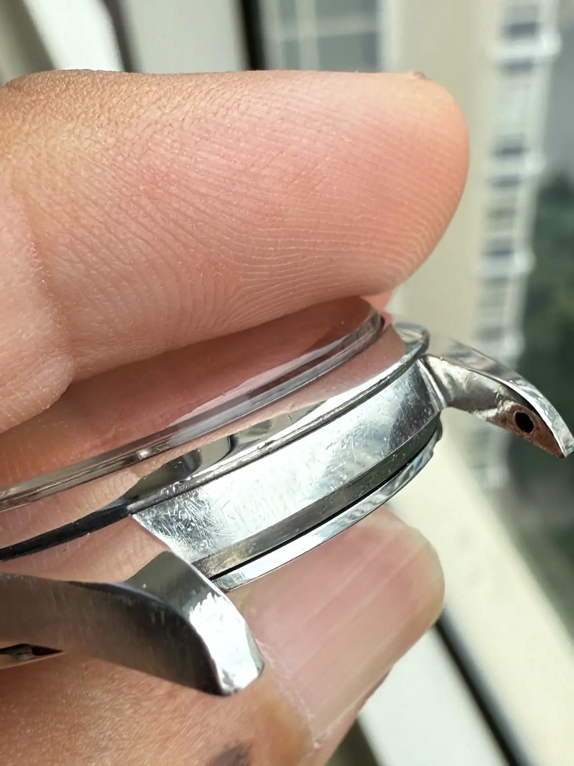 IMG_5054.webp IMG_5054.webp