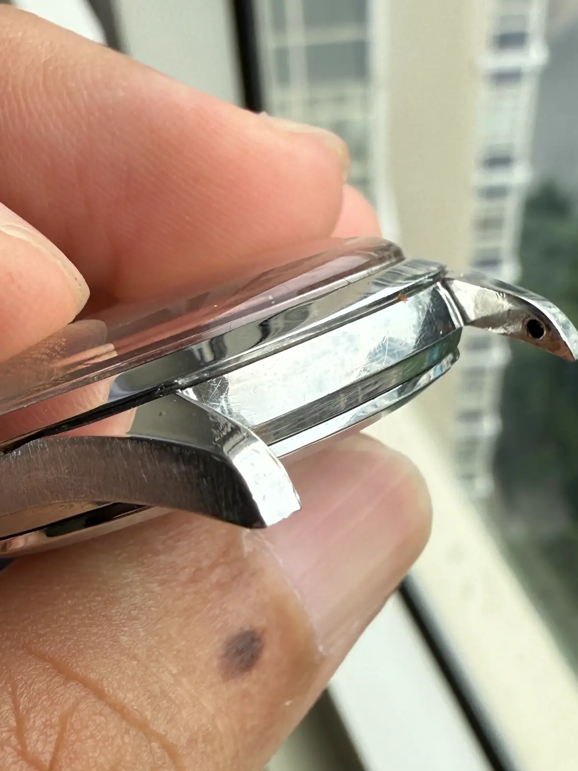 IMG_5056.webp IMG_5056.webp