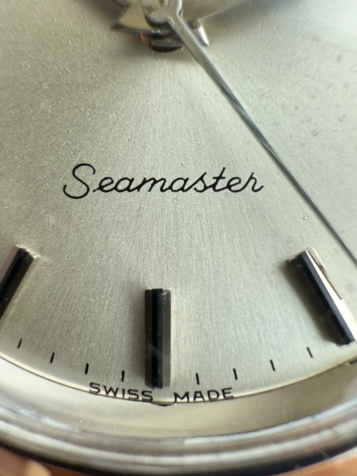 IMG_5145.webp IMG_5145.webp