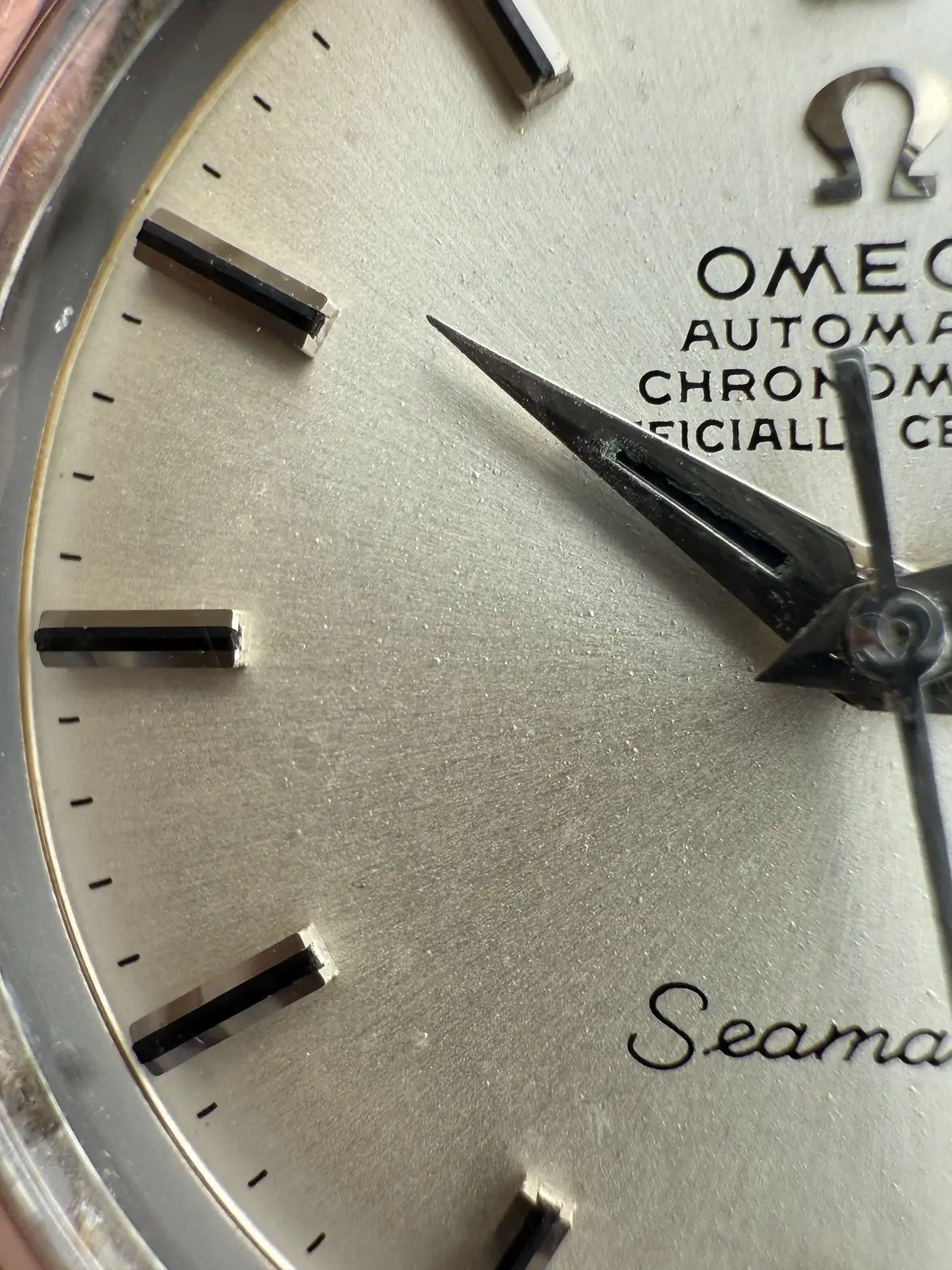 IMG_5146.webp IMG_5146.webp