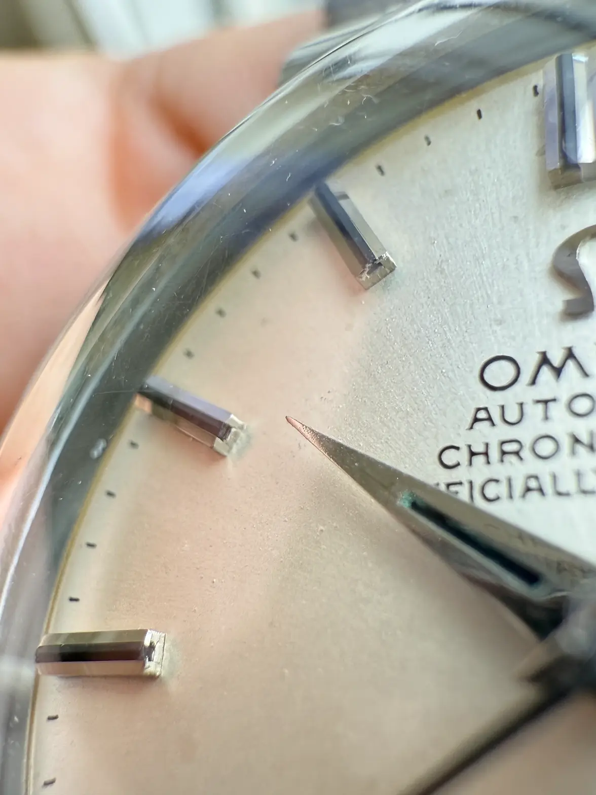 IMG_5147.webp IMG_5147.webp