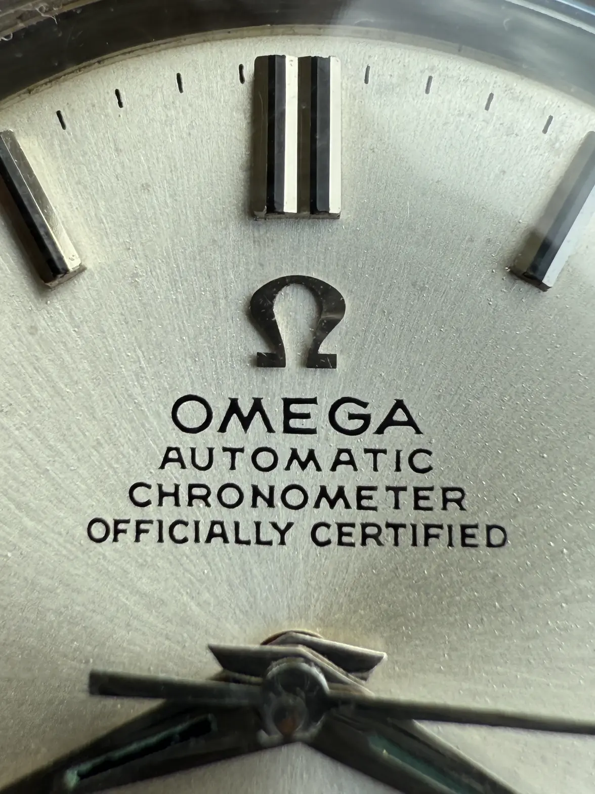 IMG_5149.webp IMG_5149.webp