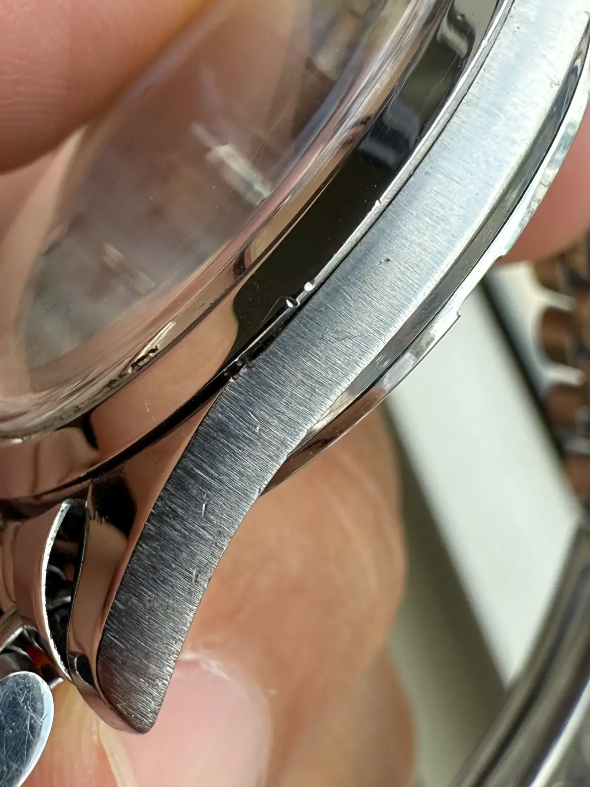 IMG_5156.webp IMG_5156.webp