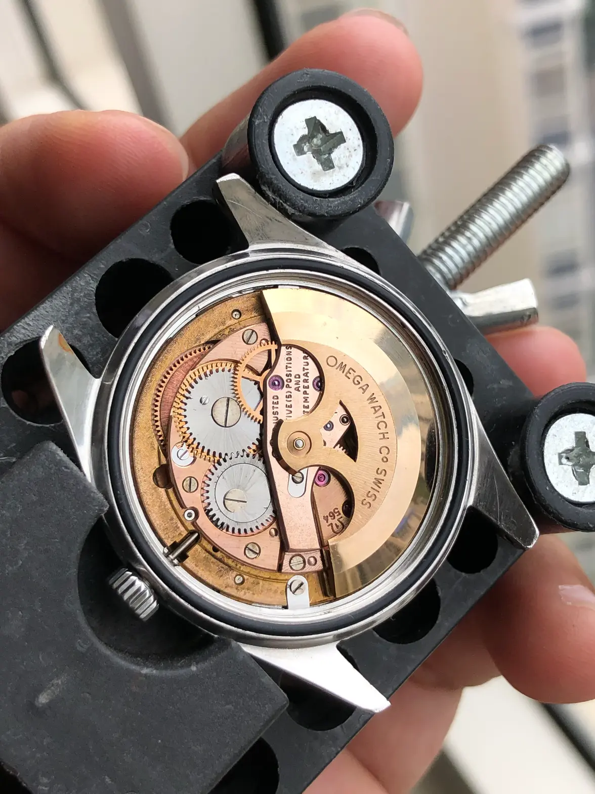 IMG_0615.webp IMG_0615.webp