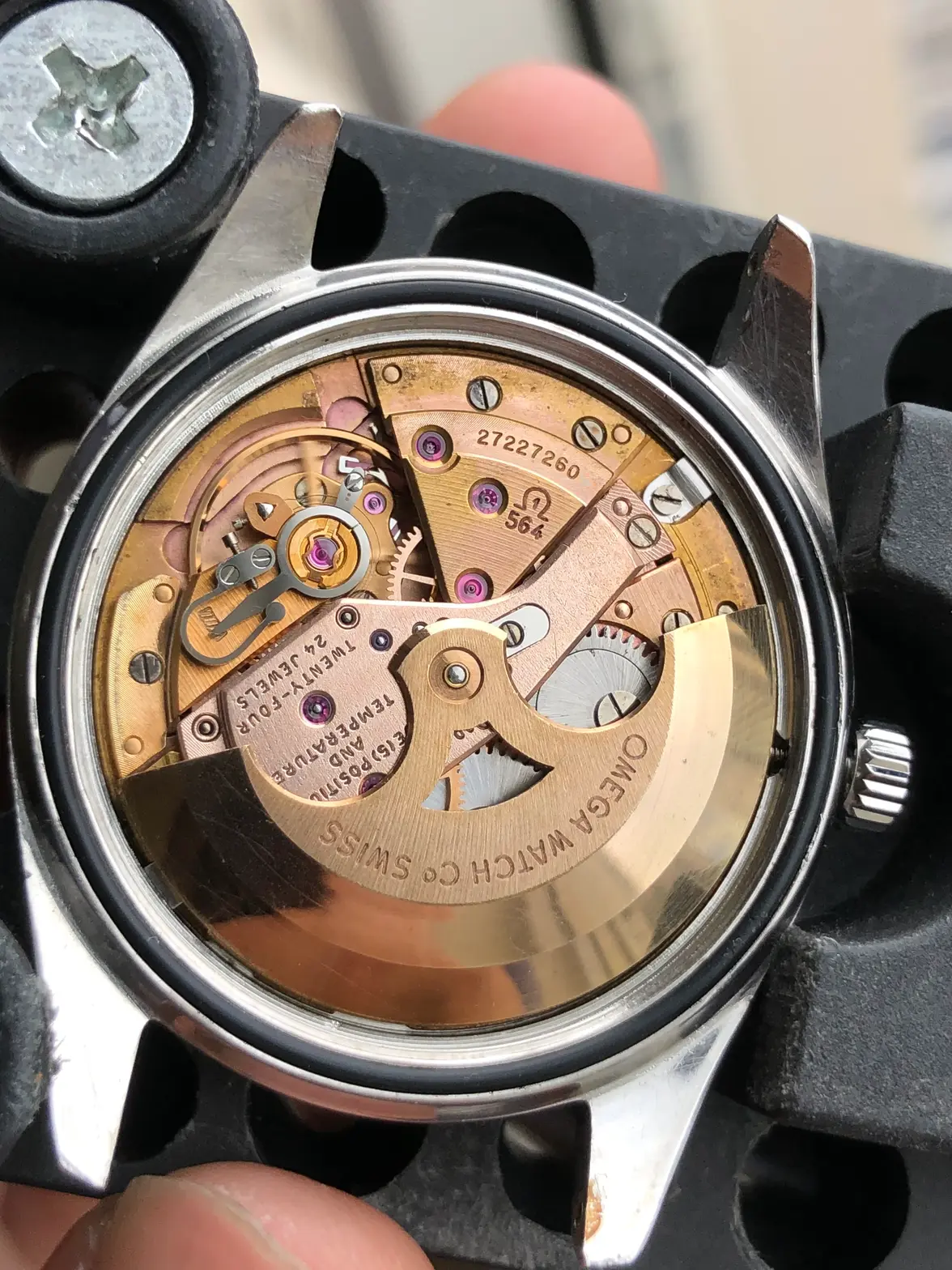 IMG_0617.webp IMG_0617.webp