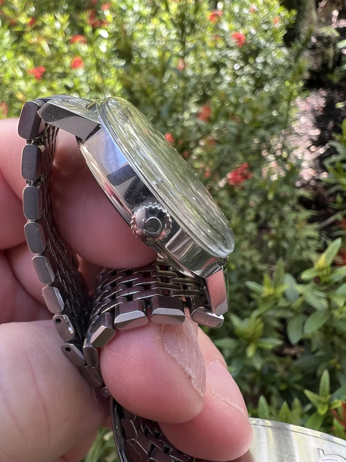 IMG_9812.webp IMG_9812.webp