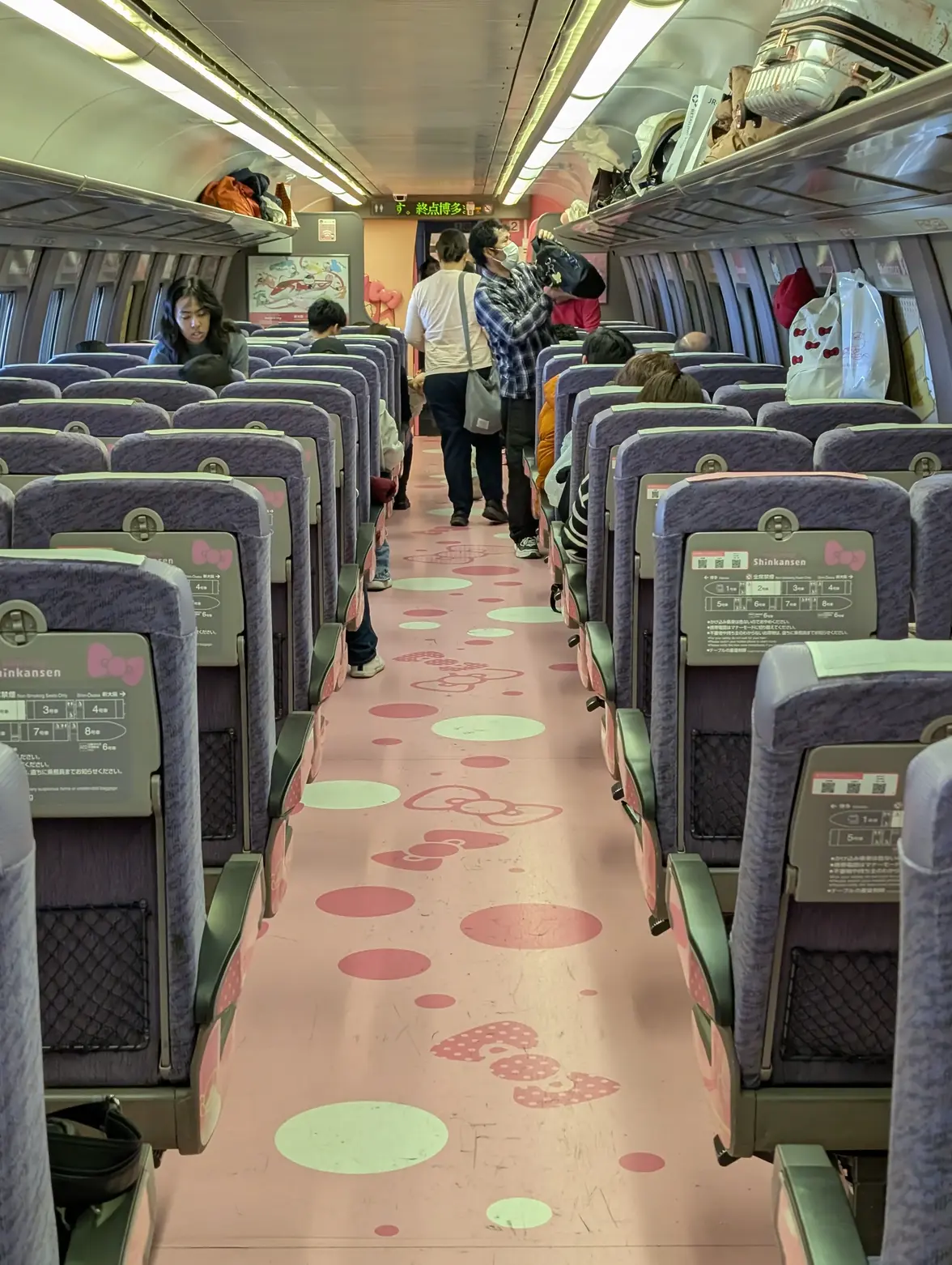 PXL_20250104_025045485.webp PXL_20250104_025045485.webp