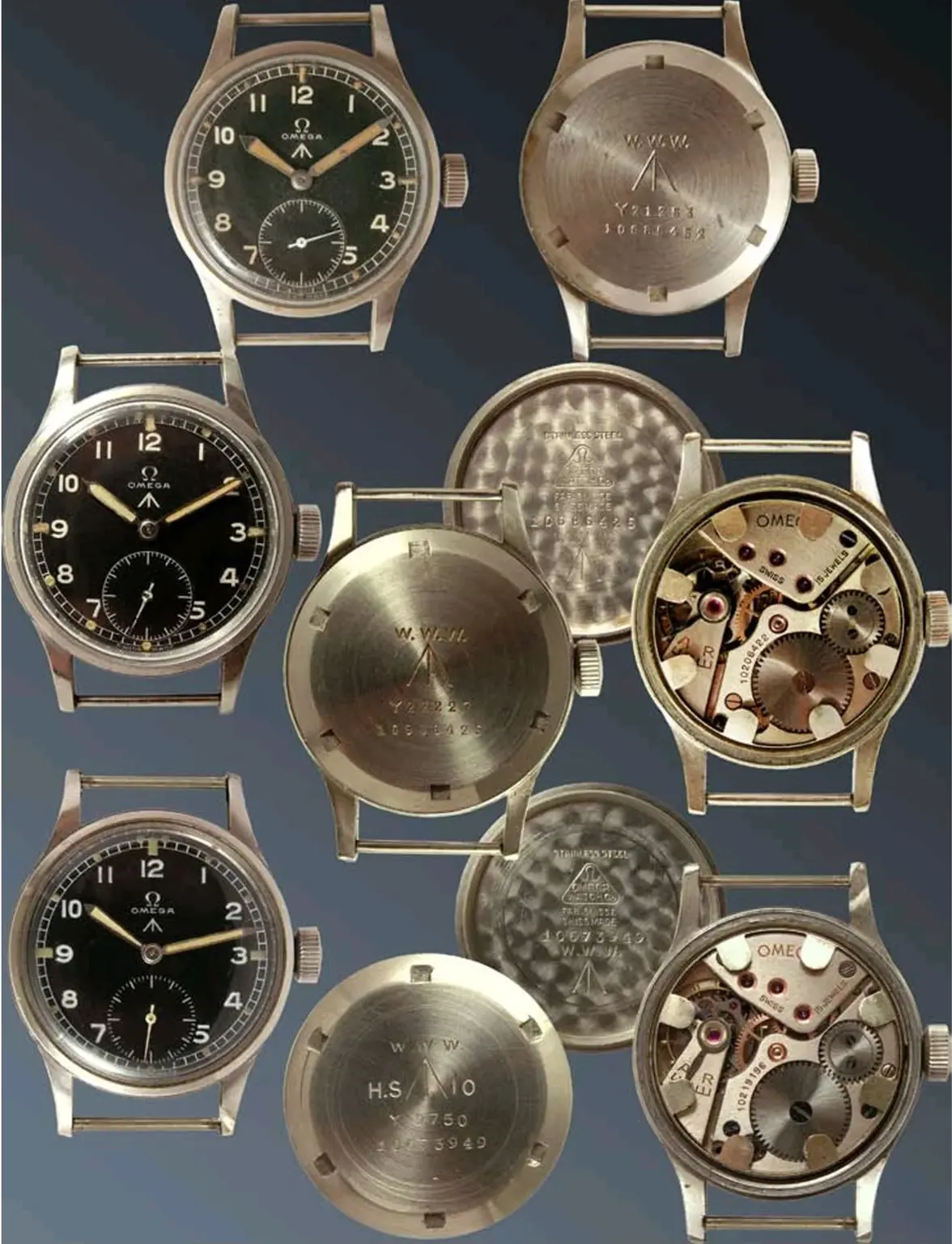 Omega WWW.webp Omega WWW.webp