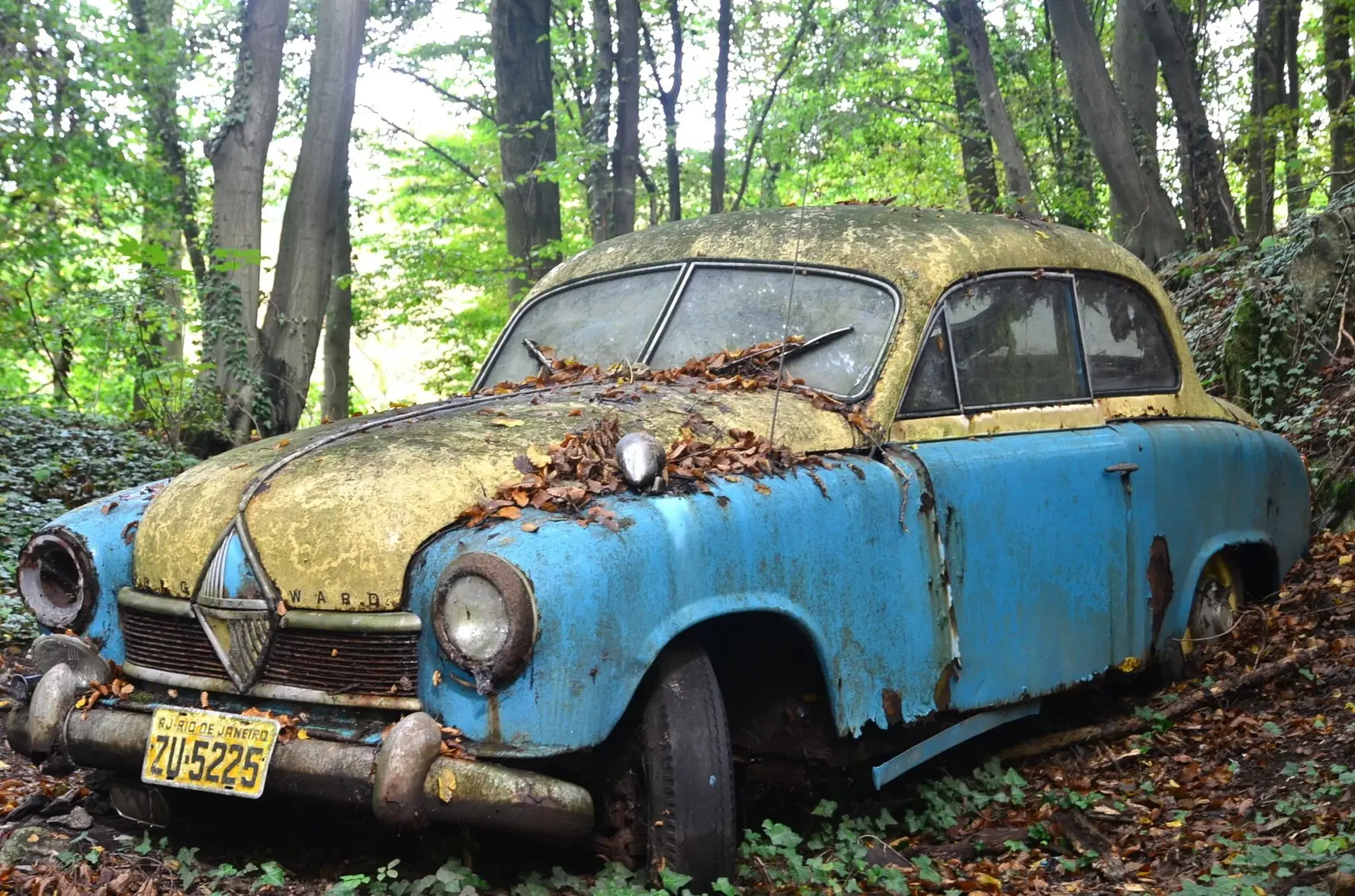 Aito-Fröhlich im Neandertal (5).webp