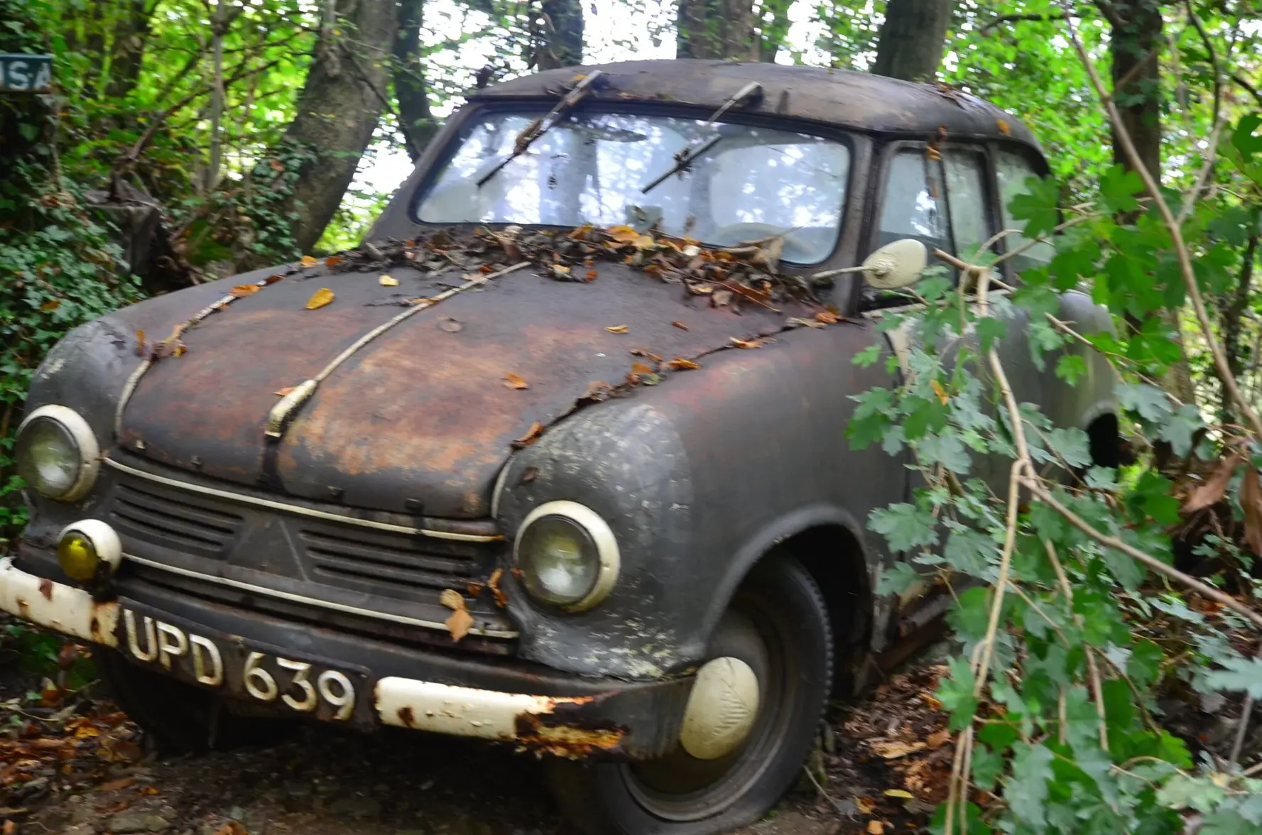 Aito-Fröhlich im Neandertal (4).webp