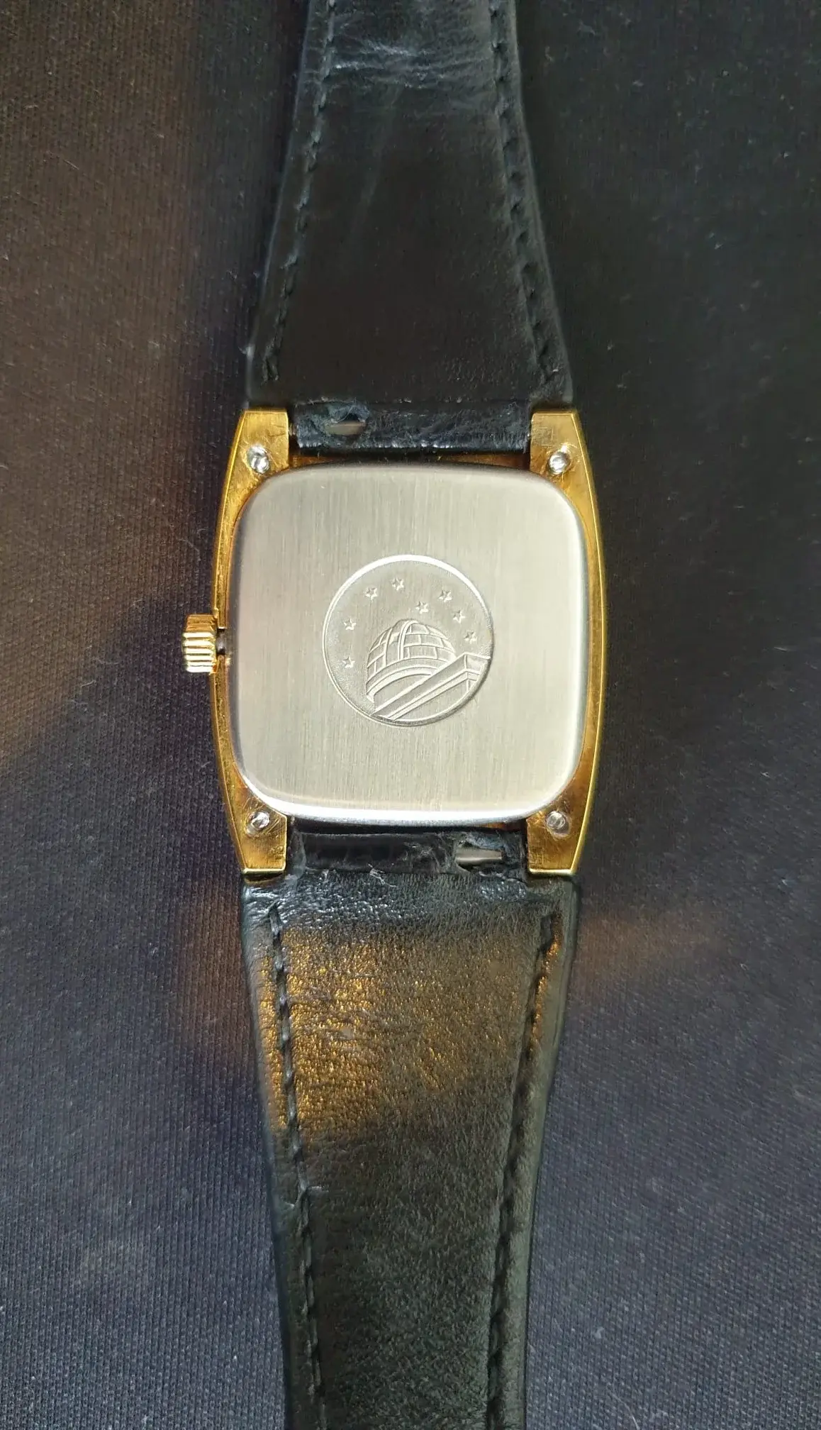 Connie strap rear (3).webp