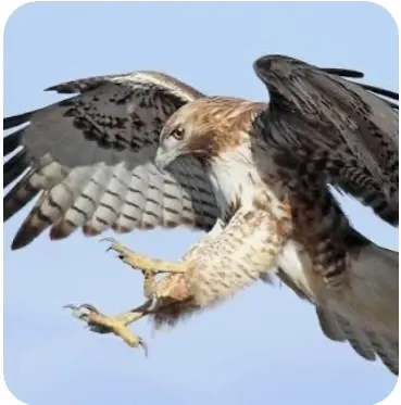 IMG_3438.webp IMG_3438.webp