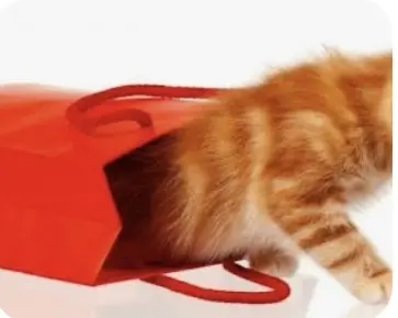 IMG_3445.webp IMG_3445.webp