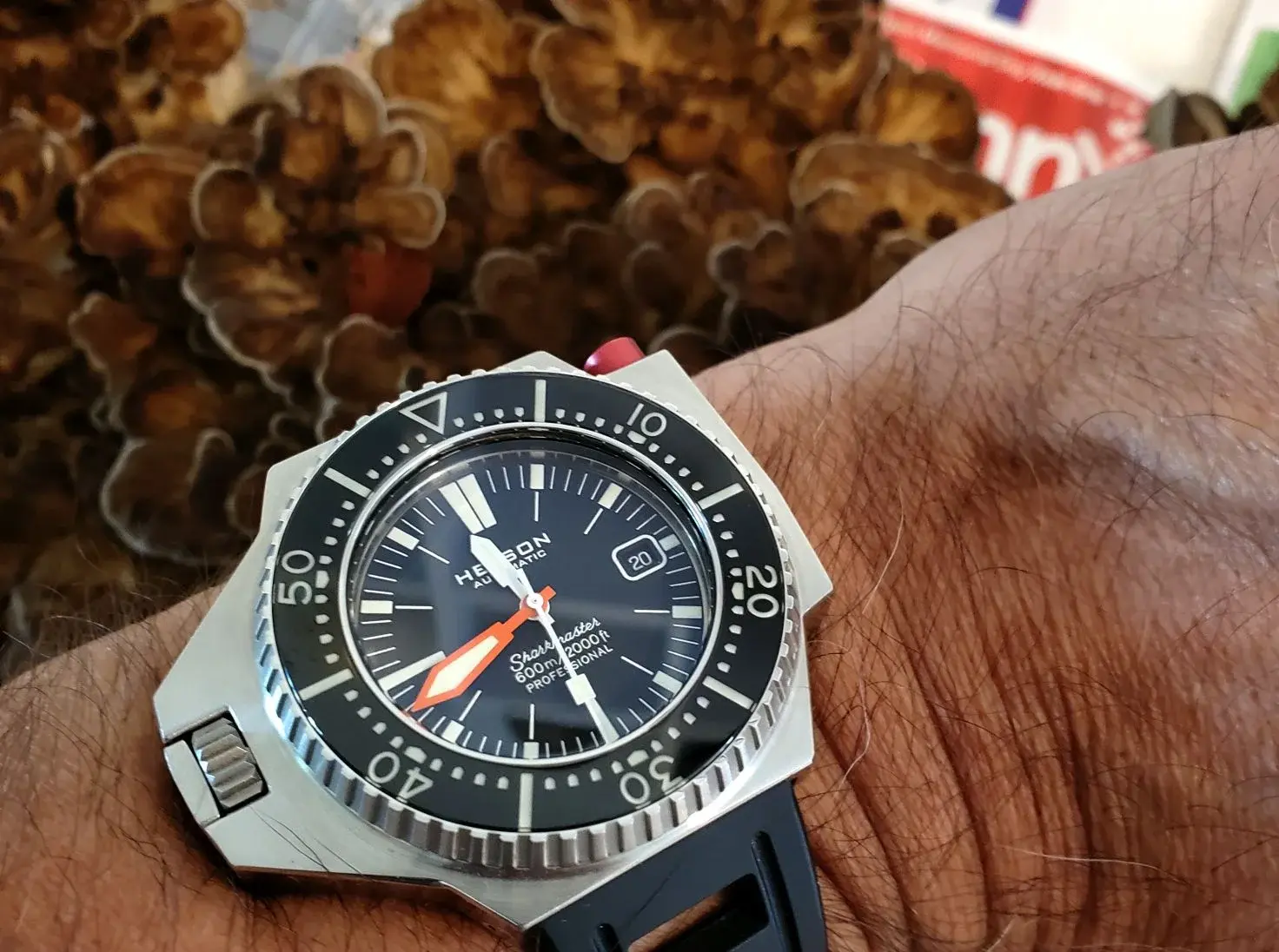 SH600 ws 3 20250920_114234.webp