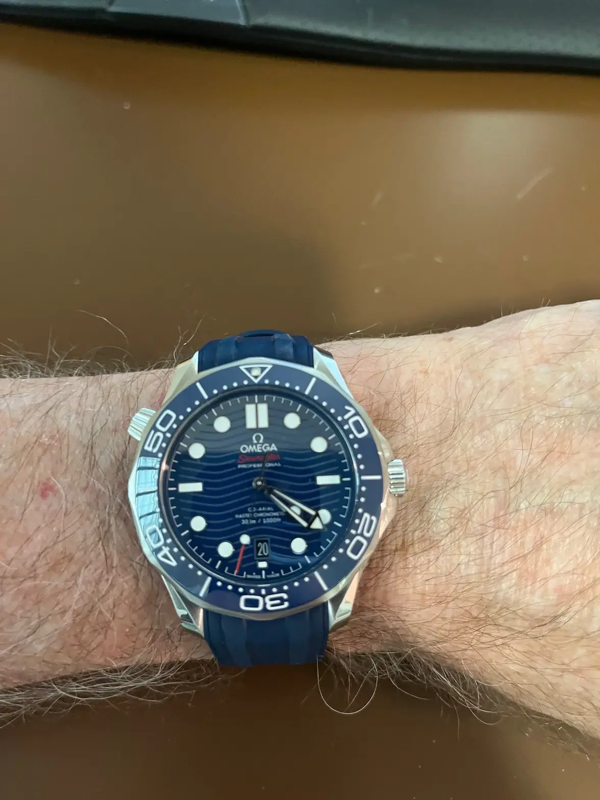 SeaMaster.webp