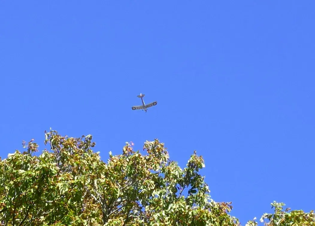 P1010545m.webp P1010545m.webp