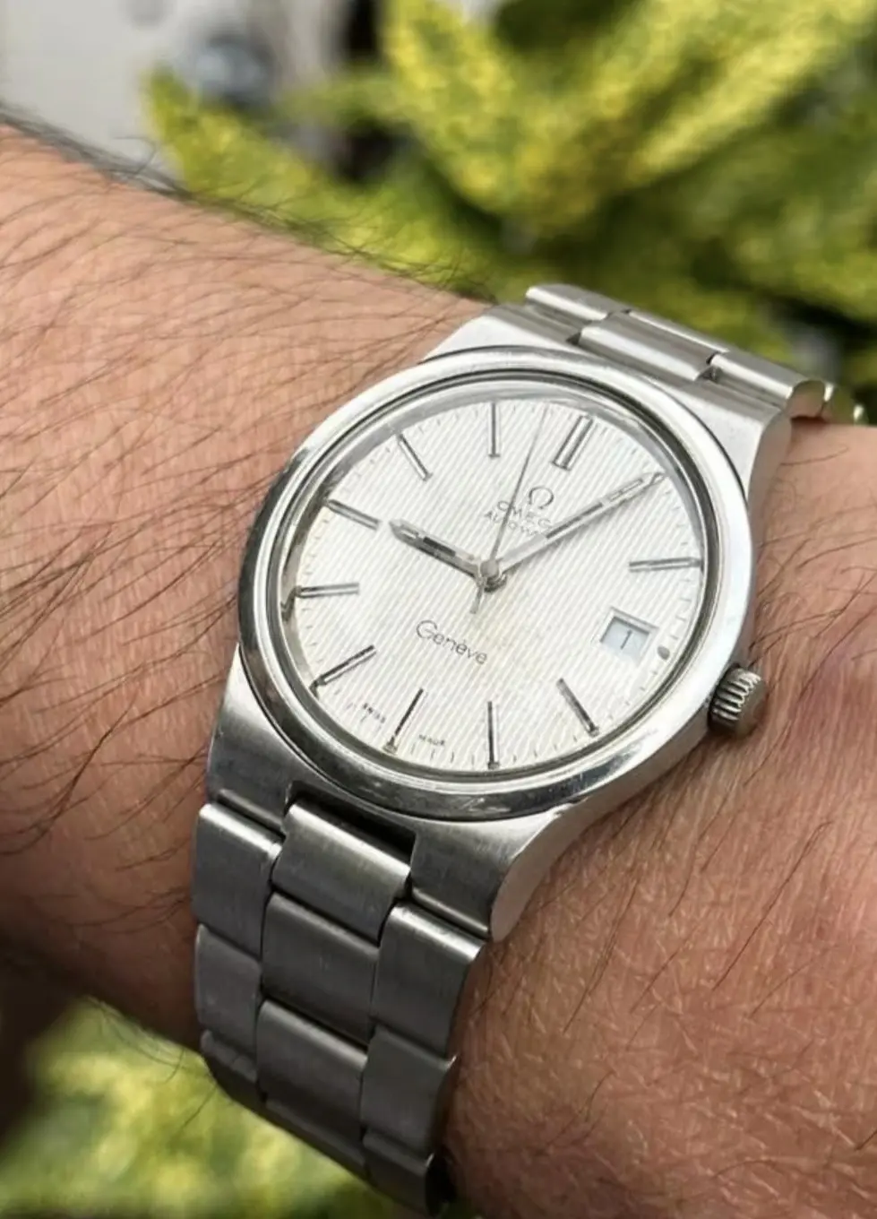 IMG_0699.webp IMG_0699.webp