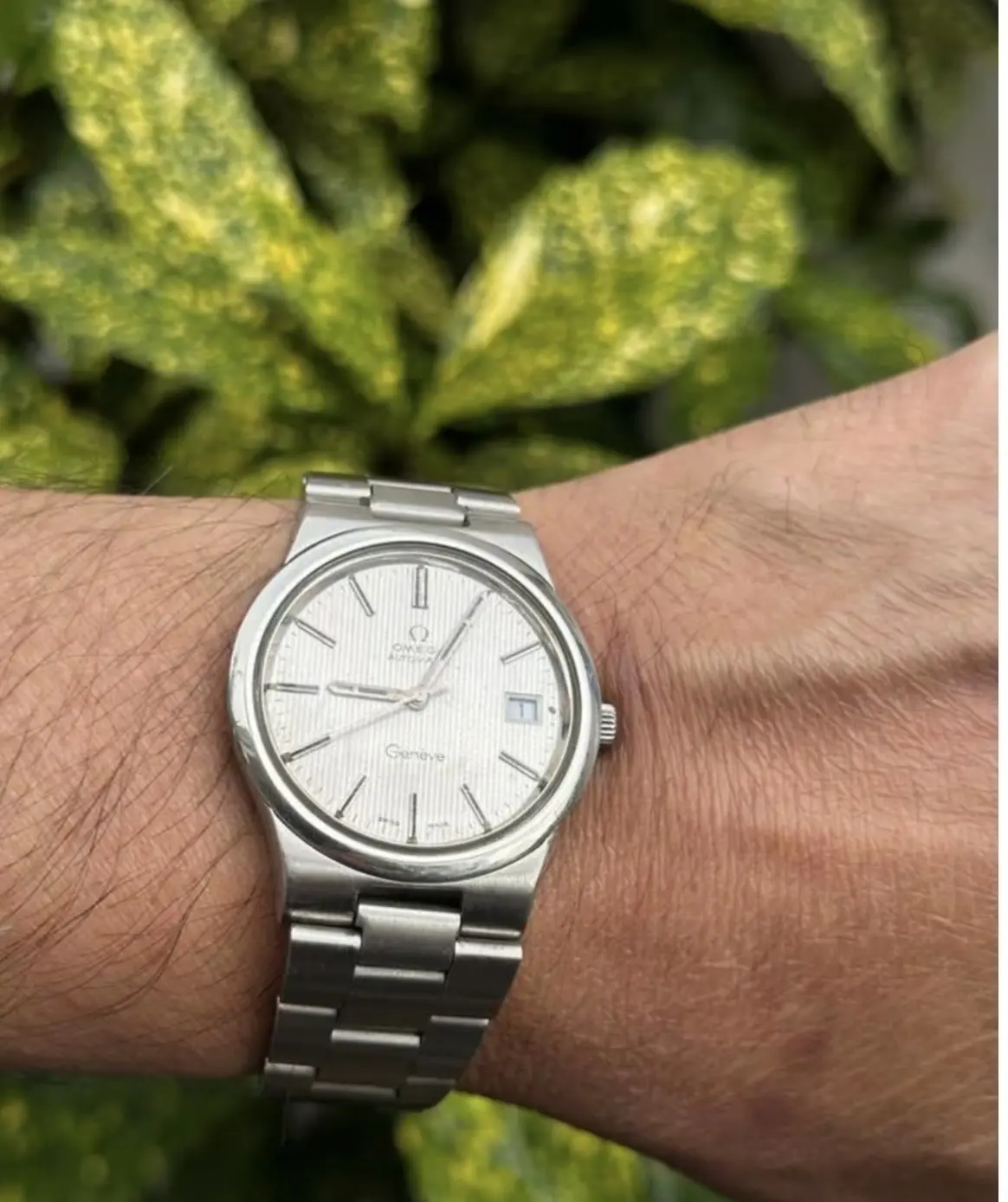 IMG_0702.webp IMG_0702.webp